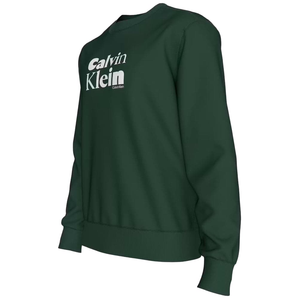 Calvin Klein felpa verde con stampa LV04LD242GLLG in Felpe con cappuccio Prodotti di Classe - Nocera Superiore, commercioVirtuoso.it