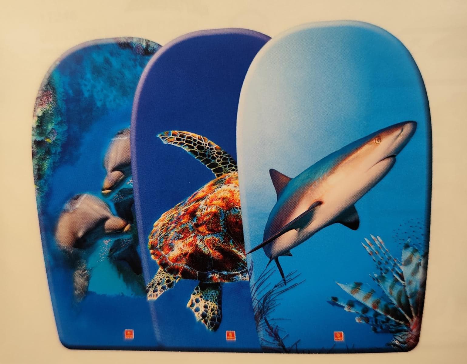 TAVOLA SURF PESCI CM.84 MONDO