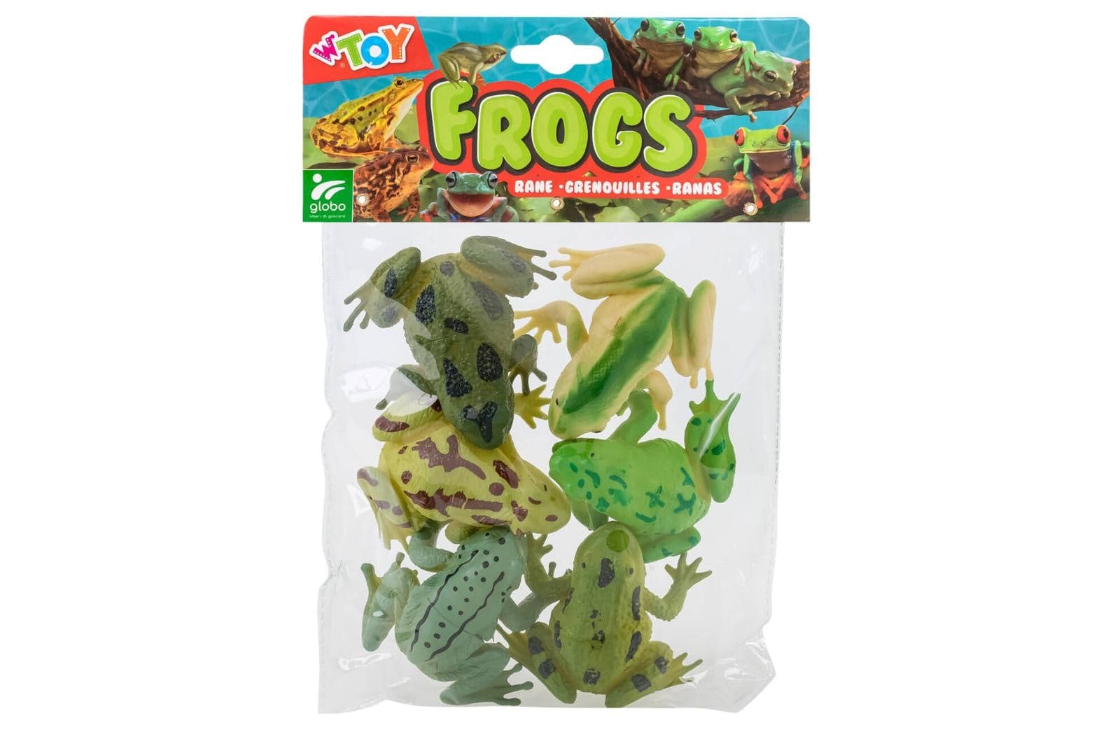 6 RANE FROGS