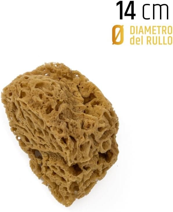 PENNELLIFICIO 2000 - SPUGNA MARE NATURALE D.14 in Spugne Stockdoc - Terni, commercioVirtuoso.it