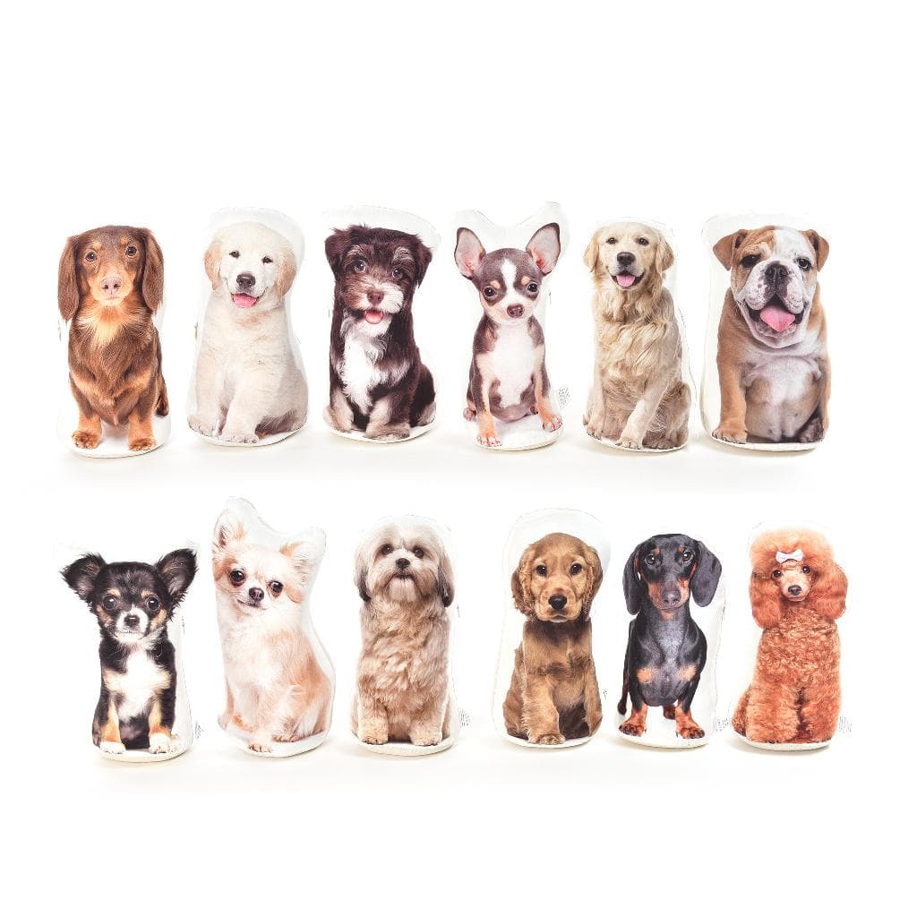 Fermaporta 12x11xH28cm Cani Assortiti in Fermaporte Save The Money - Rimini, commercioVirtuoso.it