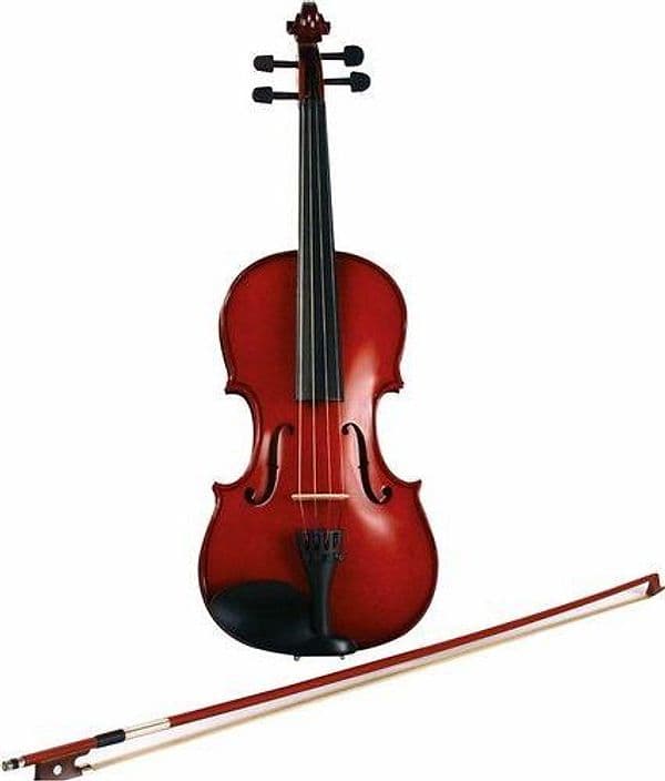 Violino eko ebv-1412 4/4 -1044 con custodia - 8056734494914