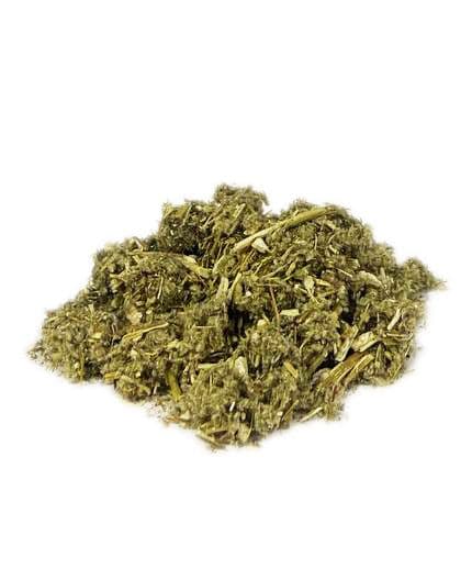 Tisana di Artemisia per la febbre, gastrite infuso da 50g e 100g in Infusi e tisane alle erbe AlBio Sicily - Misilmeri, commercioVirtuoso.it