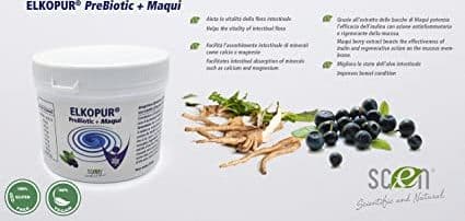 Elkopur PreBiotic + Maqui - integratore alimentare di Inulina polvere da cicoria con Maqui estratto, 220 grammi in Lactobacillus Scen Scientific and Natural - Poggibonsi, commercioVirtuoso.it