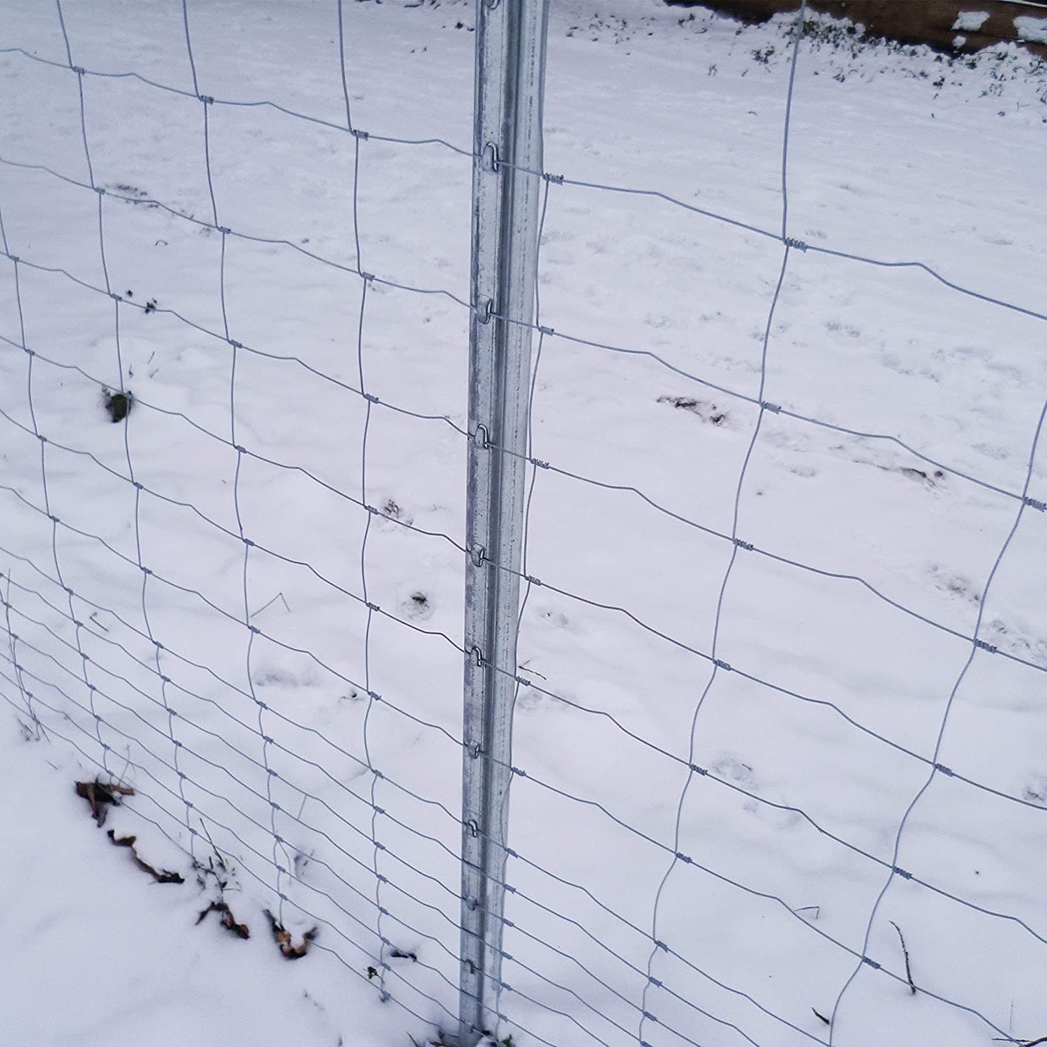 Rete pastorale da 50 mt per allevamenti di pecore in zone boschive, protezione da animali selvatici maglia 12x15 mm in Reti protettive La Zappa - Altamura, commercioVirtuoso.it
