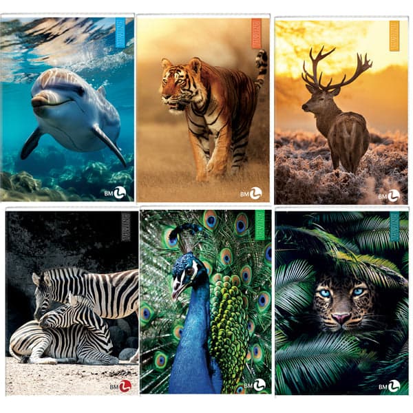 Maxiquaderno A4 40fg+2 80gr 5mm Animal BM