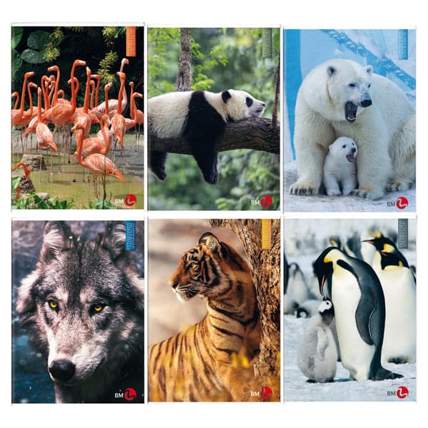 Maxiquaderno A4 40fg+2 80gr 10mm Animal BM