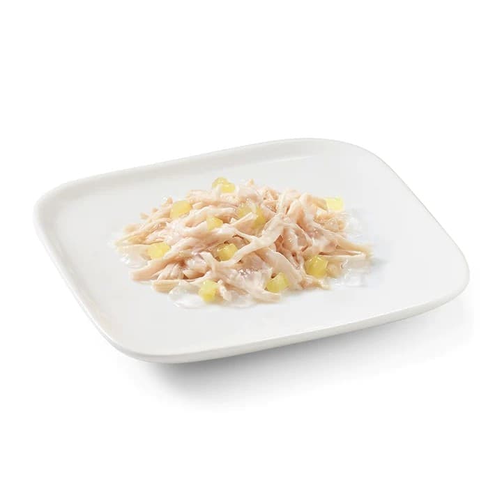 Schesir Jelly Adult Pollo con Ananas Scatoletta per Cani Adulti 150gr in Umido 101 Market - Poggibonsi, commercioVirtuoso.it