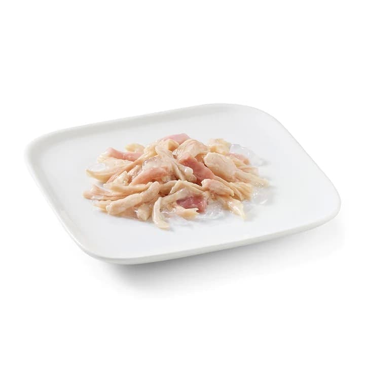 Schesir Jelly Adult Pollo con Prosciutto Scatoletta per Cani Adulti 150gr in Umido 101 Market - Poggibonsi, commercioVirtuoso.it