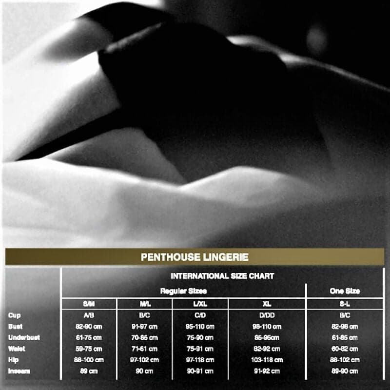 PENTHOUSE - NO EXCUSES CALZINI S/M/L RETE in Calze Desideria Shop - Latina, commercioVirtuoso.it
