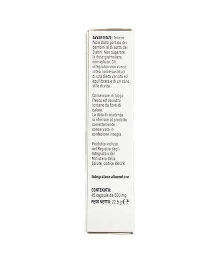 B Apport Plus 45 capsule vitamine del gruppo B fonte naturale di vitamine B1, B2, B3, B5, B6, B9 e B12 sostegno bilanciato in Vitamina complesso B AlBio Sicily - Misilmeri, commercioVirtuoso.it