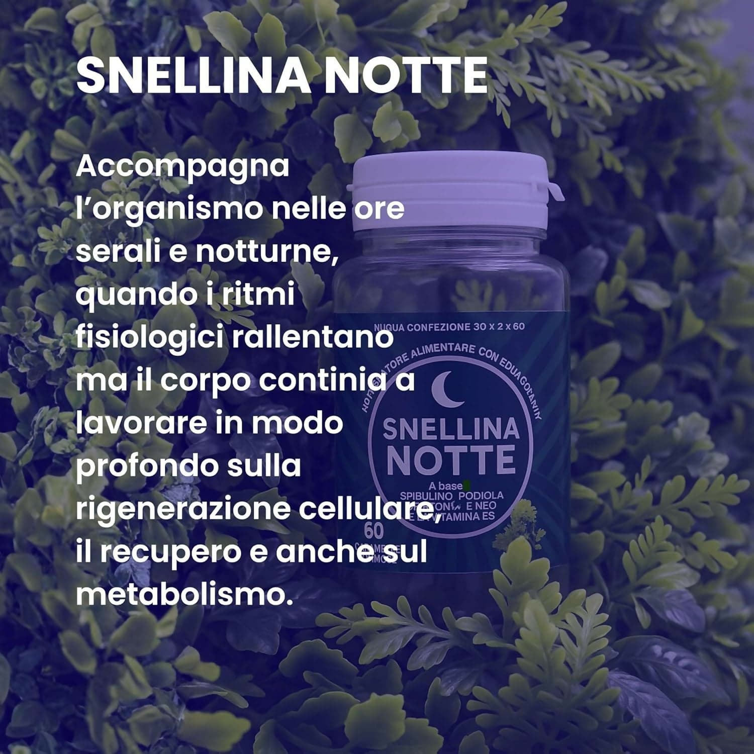 Snellina Giorno & Notte Dimagrante Donna – Integratore Brucia Grassi Naturale con Arancio Amaro, Griffonia e Rodhiola in Disintossicazione e purificazione BasketGuru Italia - Palermo, commercioVirtuoso.it