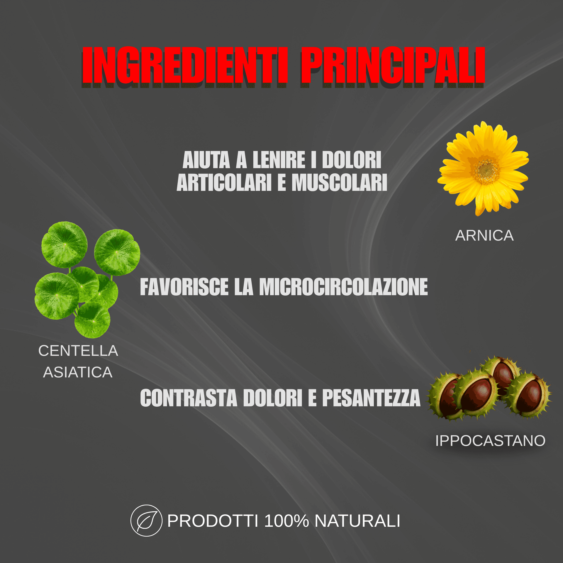 Alohalabs balsamo di cavallo balsamo arnica forte uso umano per muscoli e articolazioni 500ml - con artiglio del diavolo - azione rilassante e sollievo rapido in Creme BasketGuru Italia - Palermo, commercioVirtuoso.it