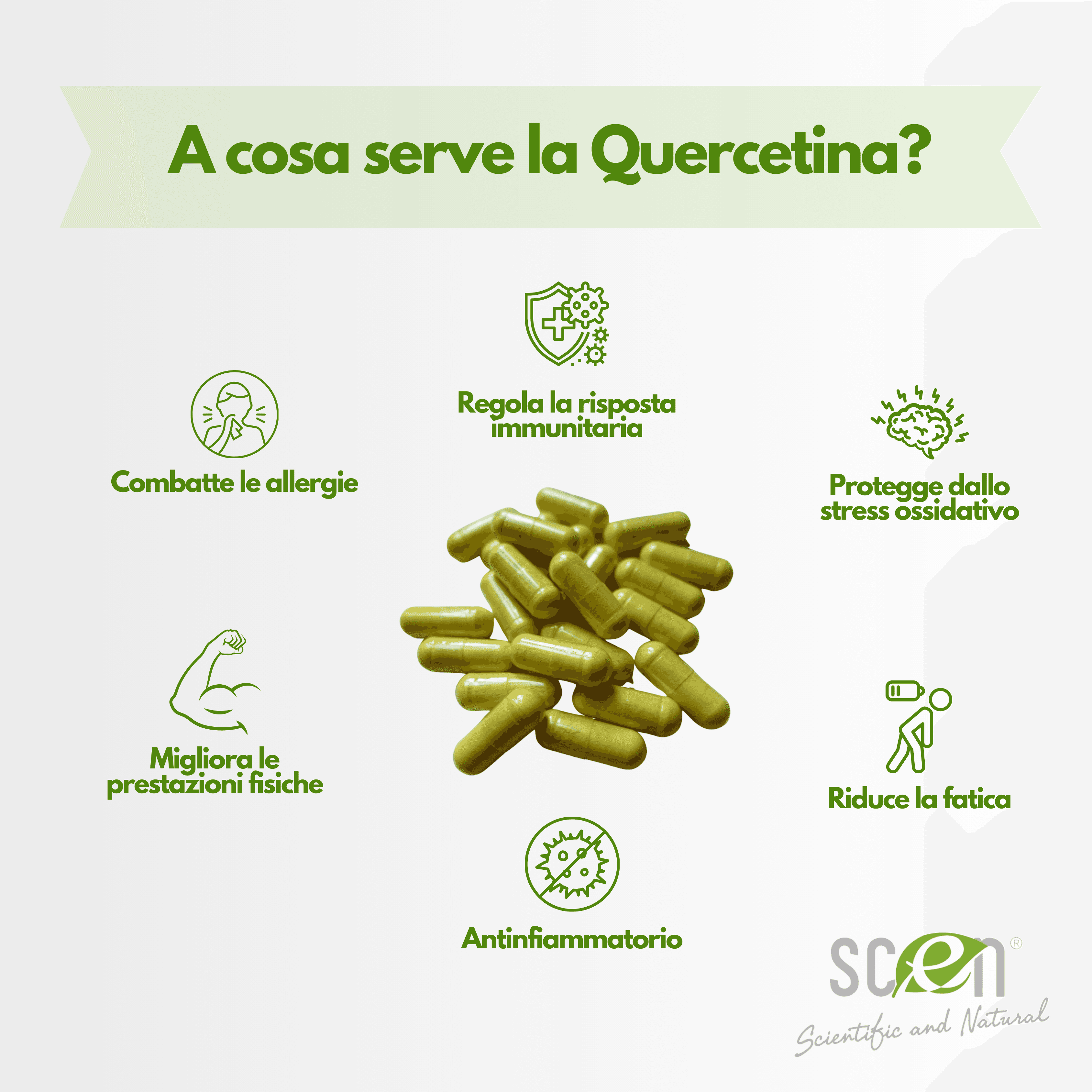 Elkopur Force Quercetina pura, 120 capsule da 500 mg. con 200 mg. di Quercetina titolata 98% in Quercetina, Vegetarian e Vegan ok, Rinforza il sistema immunitario, Antiossidante, prodotto in Italia in Quercetina Scen Scientific and Natural - Poggibonsi, commercioVirtuoso.it