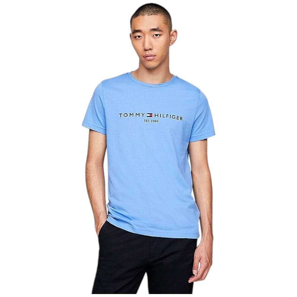 Tommy Hilfiger t-shirt azzurro logo ricamato MW0MW11797 T-shirt Tommy Hilfiger
