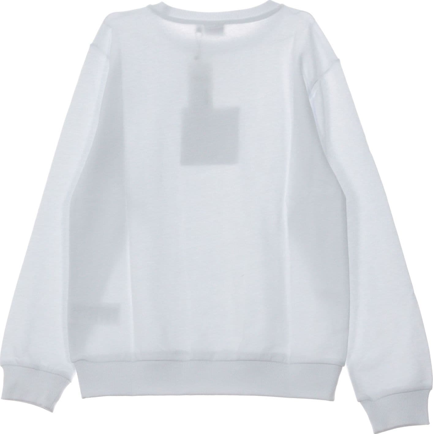 FILA Felpa Girocollo Uomo Rian Crew Bright White da uomo in Felpe senza cappuccio Drestige - Casamassima, commercioVirtuoso.it