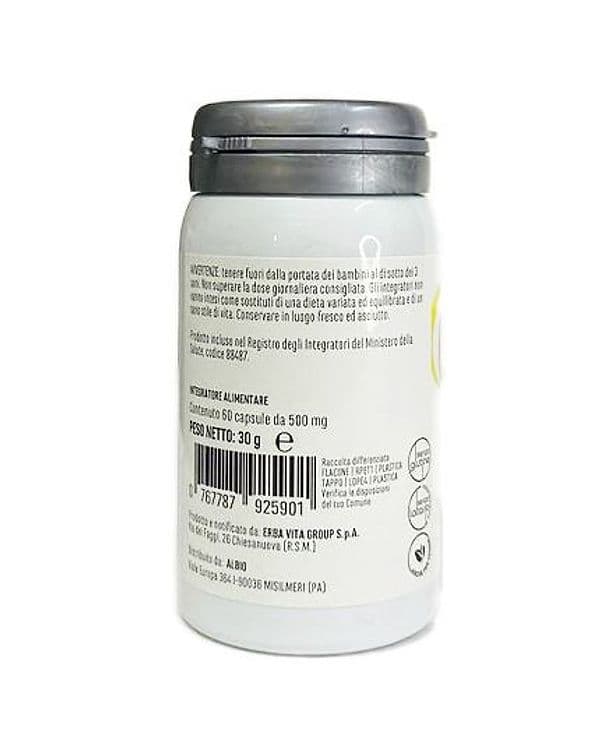 Agnocasto monoplanta 60 capsule utile per contrastare i disturbi del ciclo mestruale in Multivitamine e minerali AlBio Sicily - Misilmeri, commercioVirtuoso.it