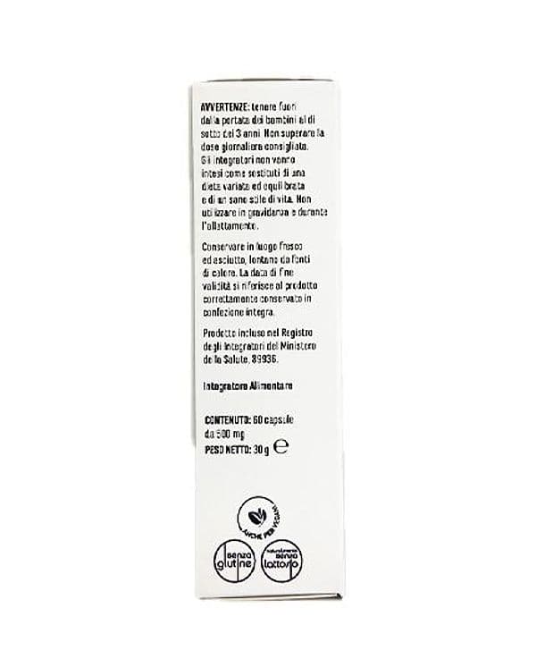 Immuno Action 60 capsule, Tabebuia, betaglucani, Uncaria, Echinacea, Andrographis scudo per le difese immunitarie in Echinacea AlBio Sicily - Misilmeri, commercioVirtuoso.it