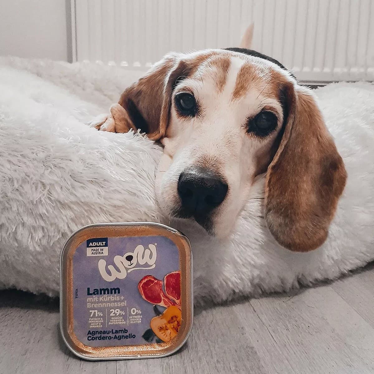 Wow Adult Agnello Vaschetta per Cani 150gr in Multivitamine 101 Market - Poggibonsi, commercioVirtuoso.it