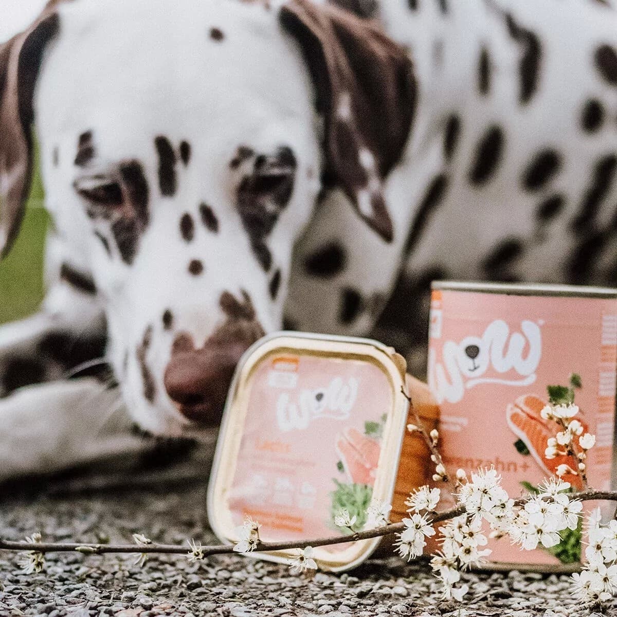 Wow Adult Salmone Vaschetta per Cani 150gr in Secco 101 Market - Poggibonsi, commercioVirtuoso.it