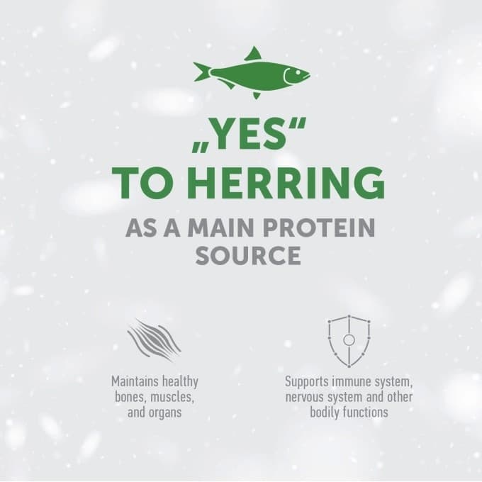 Nature's Protection White Dog grain-free Adult Small breed Aringa 1.5 kg in Secco 101 Market - Poggibonsi, commercioVirtuoso.it