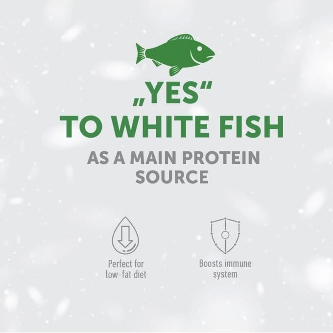 Nature's Protection White Dog grain-free Junior Small breeds 1.5 kg Pesce bianco in Secco 101 Market - Poggibonsi, commercioVirtuoso.it