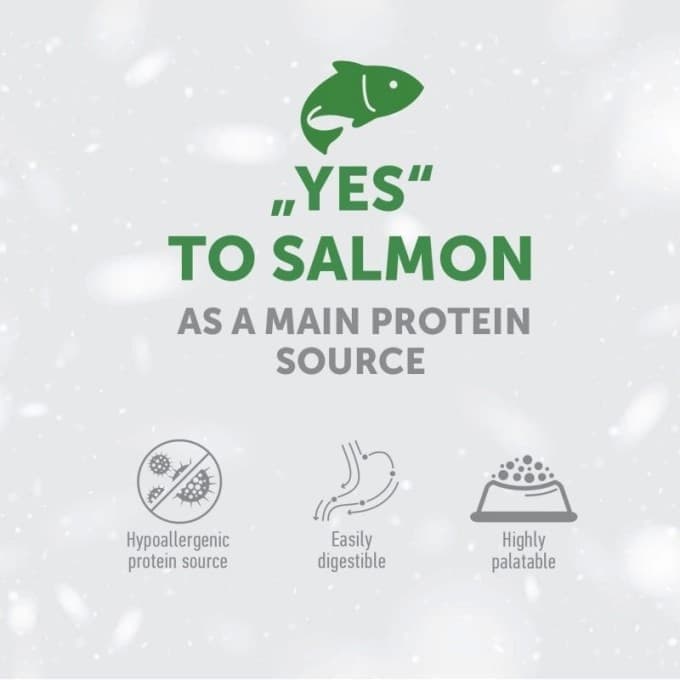 Nature's Protection White Dog grain-free Adult Small breeds al Salmone 1.5 kg in Secco 101 Market - Poggibonsi, commercioVirtuoso.it