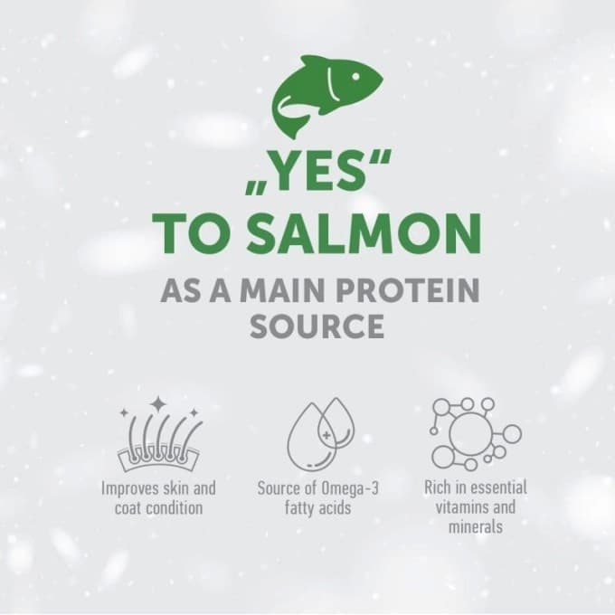 Nature's Protection White Dog grain-free Adult Small breeds al Salmone 1.5 kg in Secco 101 Market - Poggibonsi, commercioVirtuoso.it