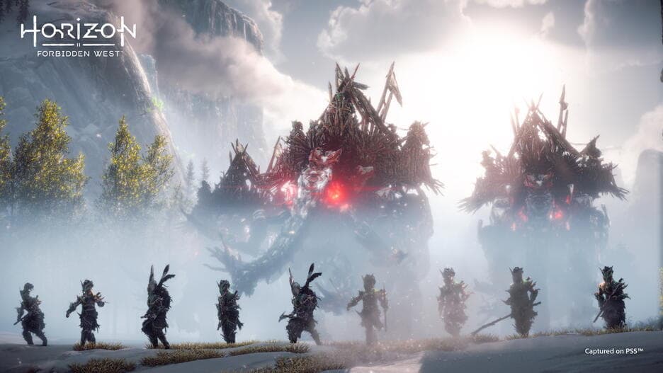 Horizon Forbidden West PS5 CZ/HU/SK Usato in  Prezzo Bomba Store - Casalnuovo di Napoli, commercioVirtuoso.it