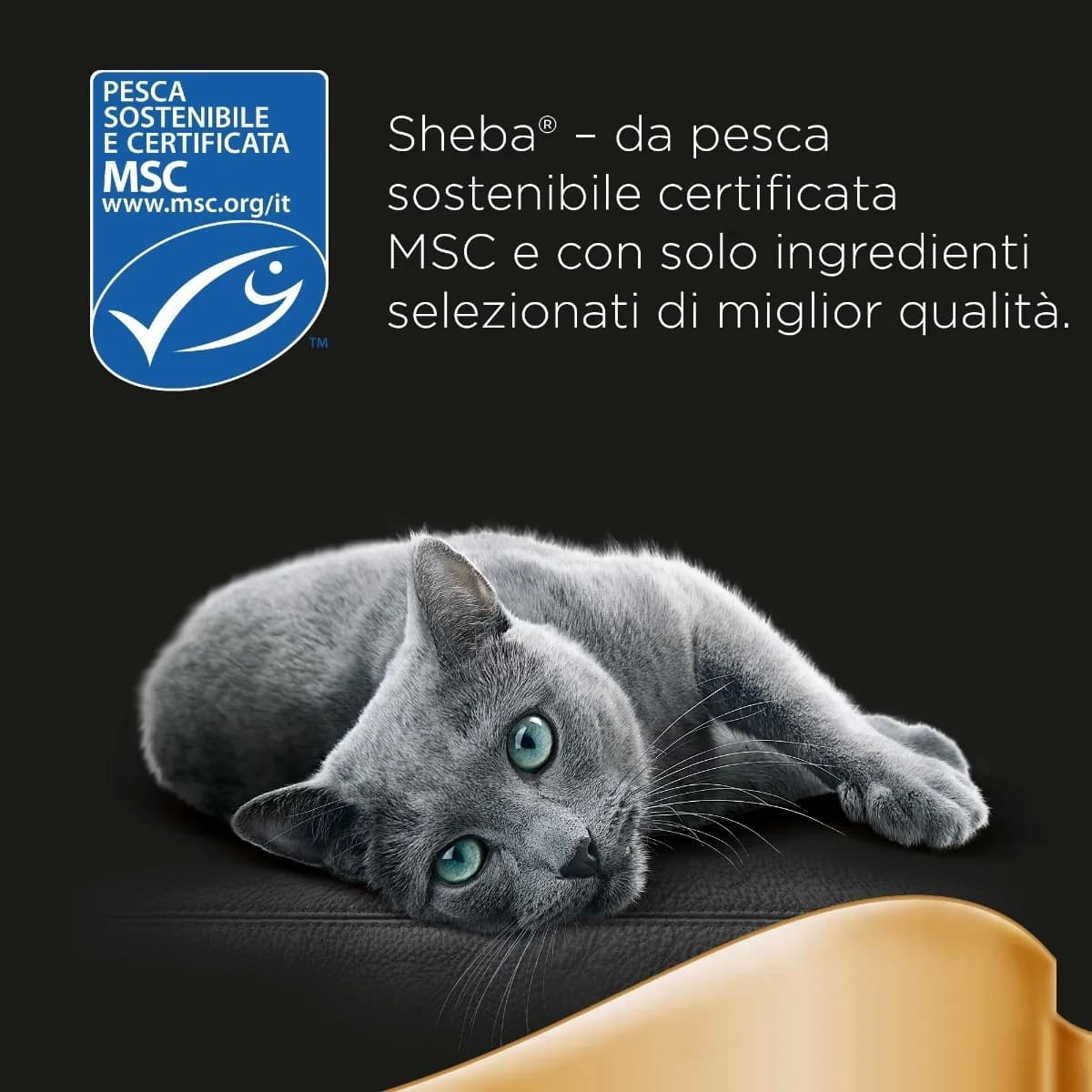 Sheba Delicatezze Selezione Filetti per Gatti 60x85gr Maxi Pack in Catnip ed erba gatta 101 Market - Poggibonsi, commercioVirtuoso.it