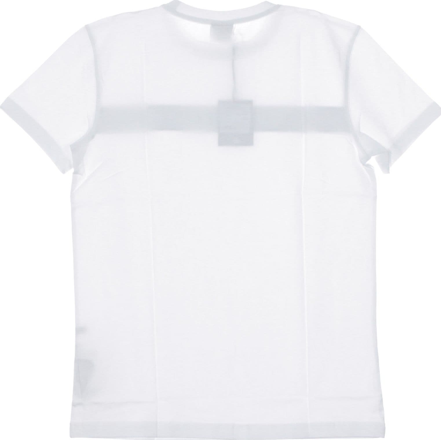 KAPPA KONTROLL Maglietta Uomo Kontroll Tee Banda Chest Grey Silver/white da uomo in T-shirt Drestige - Casamassima, commercioVirtuoso.it