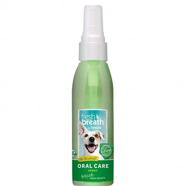Dentifrici per cani