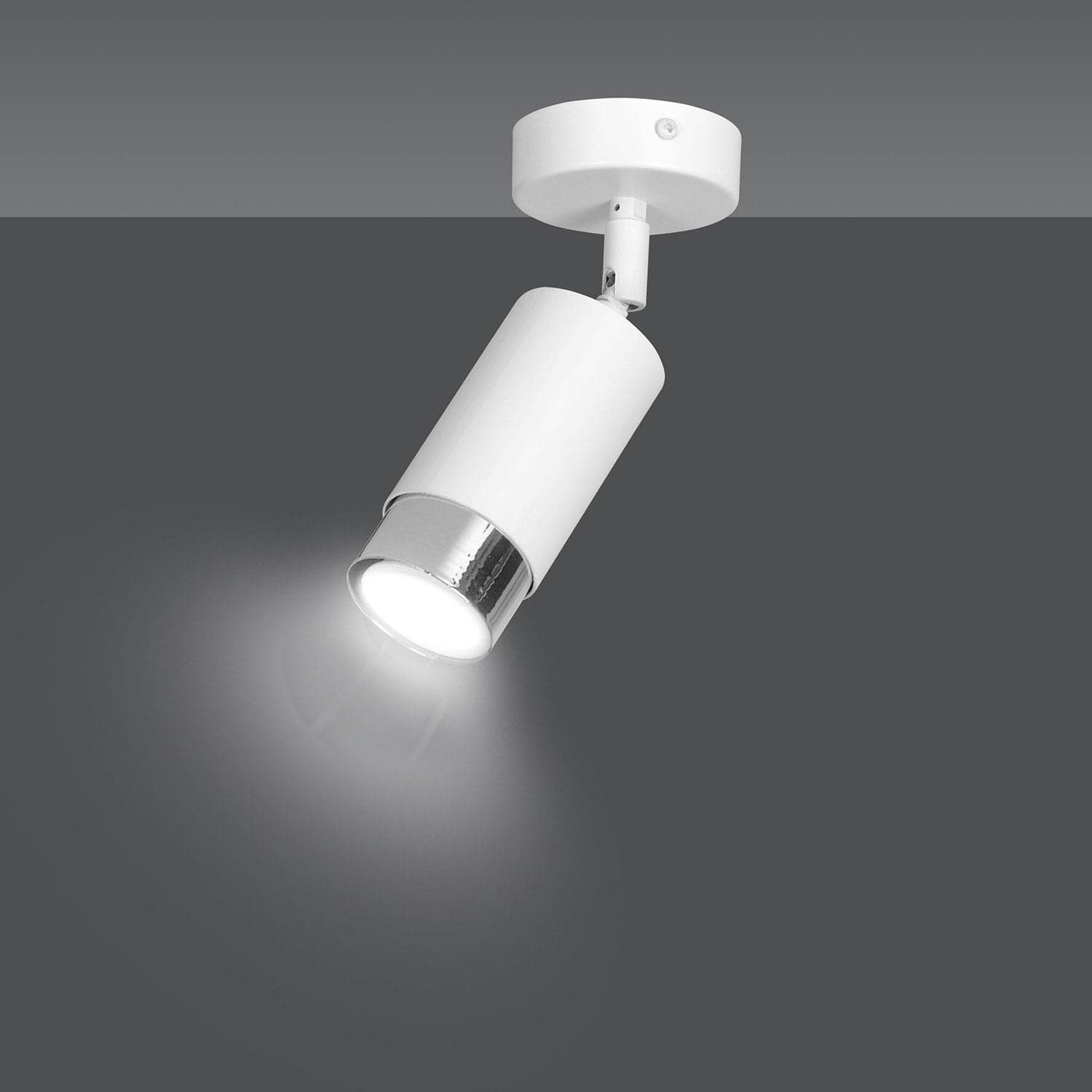 Faretto Orientabile 1 Luce Hiro A Cilindro In Acciaio Bianco E Cromo in Faretti da soffitto LuceArt - Montecorvino Pugliano, commercioVirtuoso.it