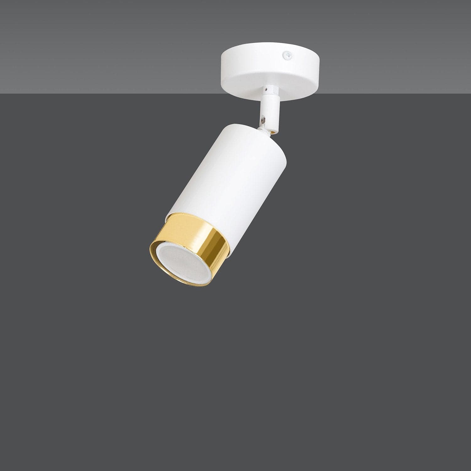 Faretto Orientabile 1 Luce Hiro A Cilindro In Acciaio Bianco E Oro in Faretti da soffitto LuceArt - Montecorvino Pugliano, commercioVirtuoso.it