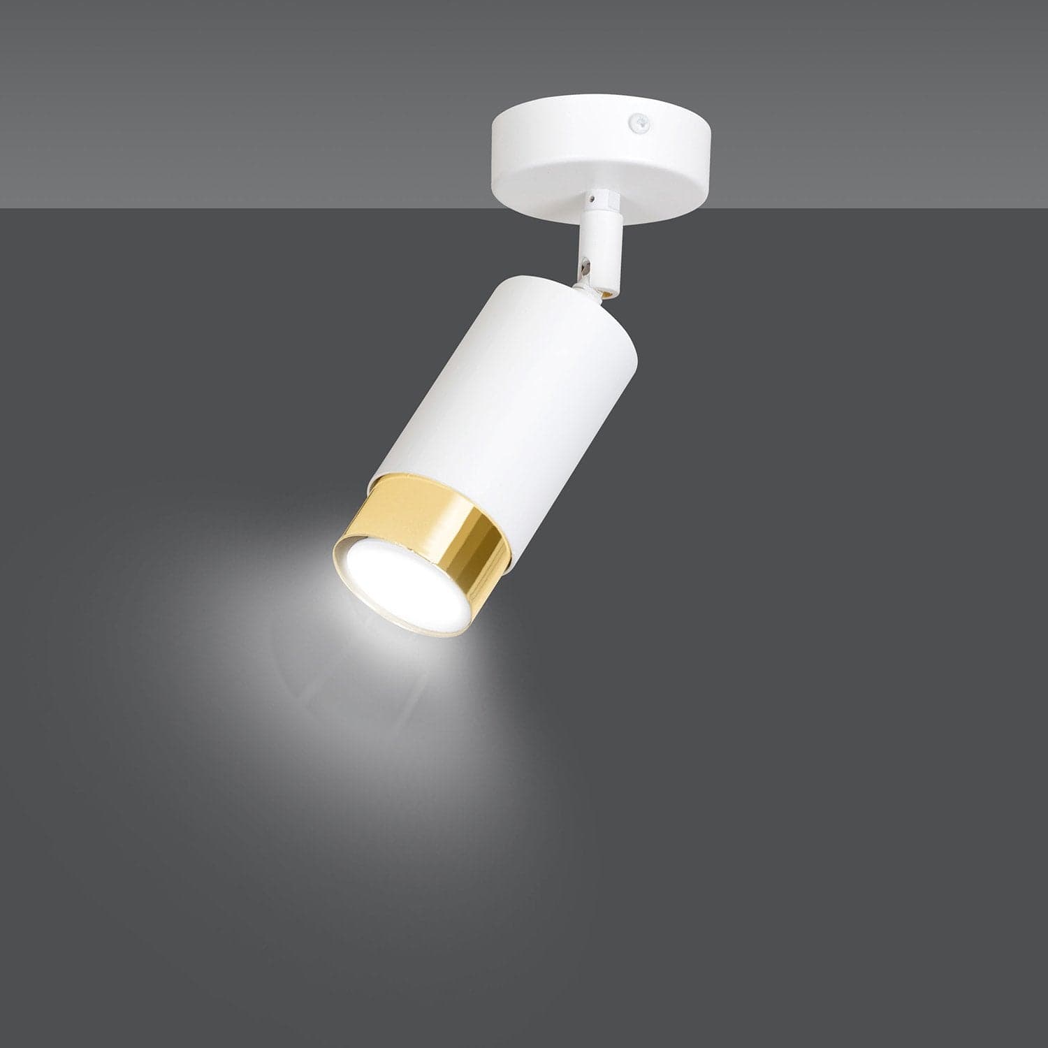Faretto Orientabile 1 Luce Hiro A Cilindro In Acciaio Bianco E Oro in Faretti da soffitto LuceArt - Montecorvino Pugliano, commercioVirtuoso.it