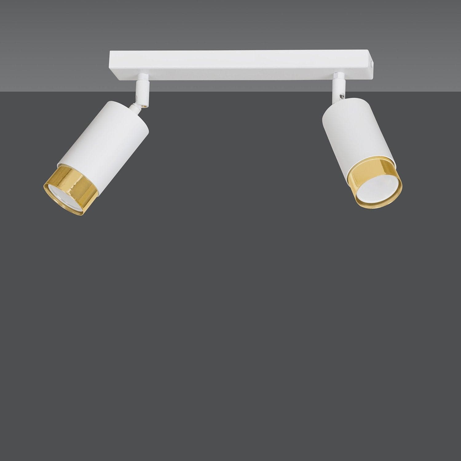 Plafoniera 2 Luci A Faretti Orientabili A Cilindro In Acciaio Bianco E Oro in Faretti da soffitto LuceArt - Montecorvino Pugliano, commercioVirtuoso.it
