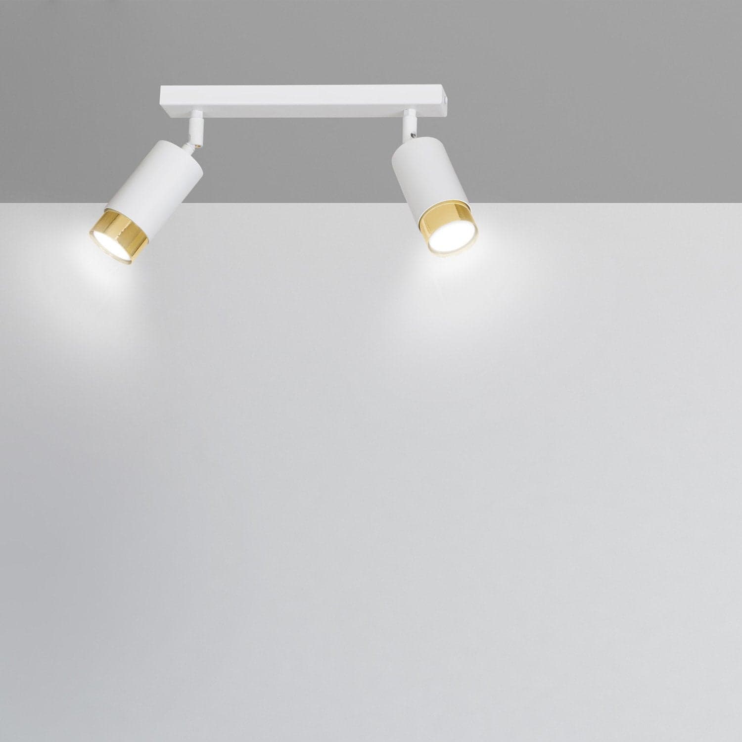 Plafoniera 2 Luci A Faretti Orientabili A Cilindro In Acciaio Bianco E Oro in Faretti da soffitto LuceArt - Montecorvino Pugliano, commercioVirtuoso.it