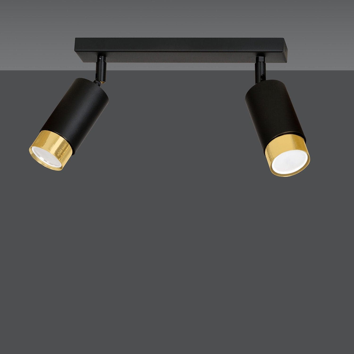 Plafoniera 2 Luci A Faretti Orientabili A Cilindro In Acciaio Nero E Oro in Faretti da soffitto LuceArt - Montecorvino Pugliano, commercioVirtuoso.it