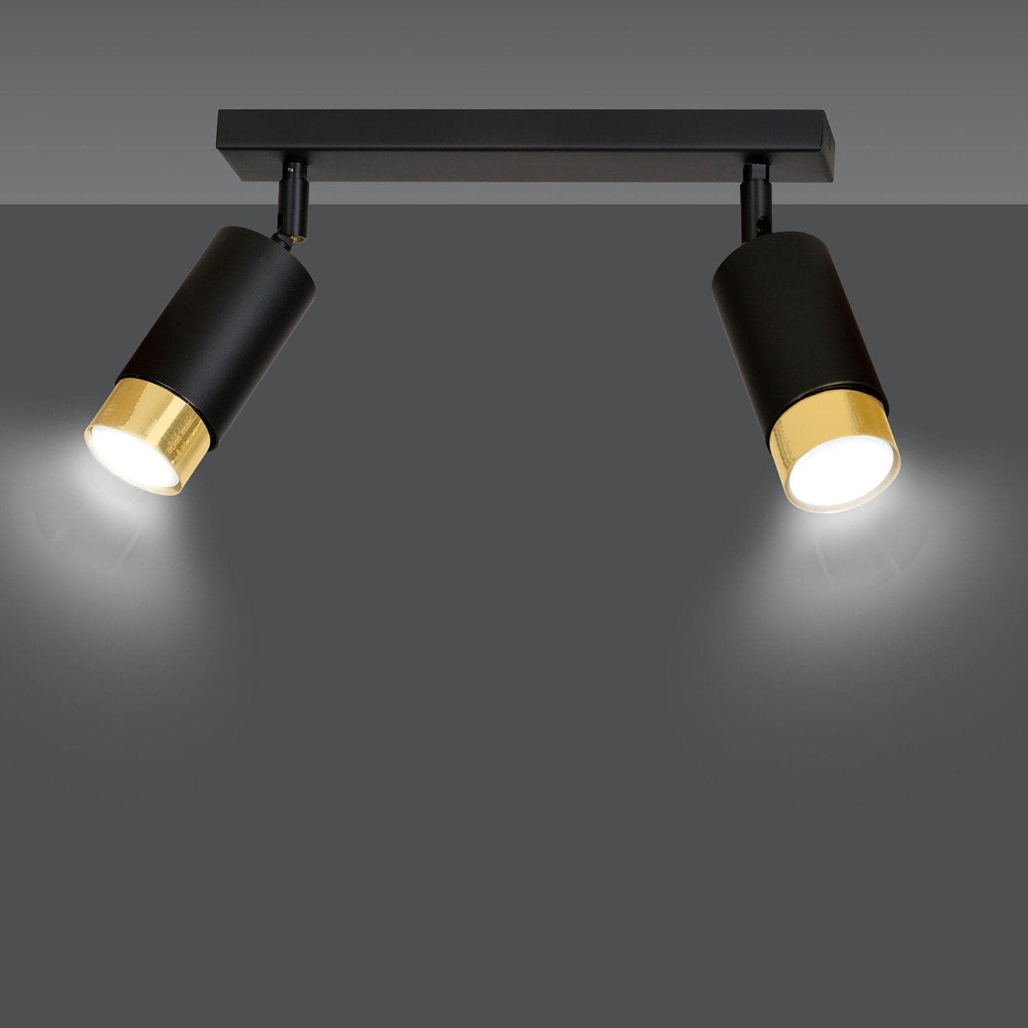 Plafoniera 2 Luci A Faretti Orientabili A Cilindro In Acciaio Nero E Oro in Faretti da soffitto LuceArt - Montecorvino Pugliano, commercioVirtuoso.it