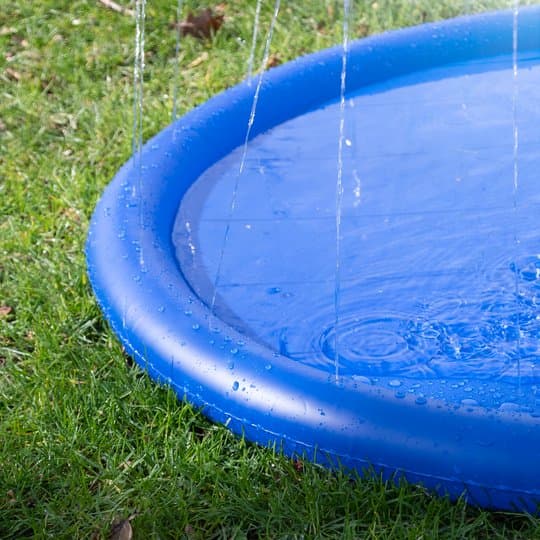 Tappeto a spruzzi d'acqua per cani in Spruzzini e fontanelle giocattolo 101 Market - Poggibonsi, commercioVirtuoso.it