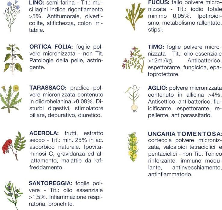 Vet Line mangime Umido Cani linea Salute Anatra e Patate 400 gr in Secco 101 Market - Poggibonsi, commercioVirtuoso.it