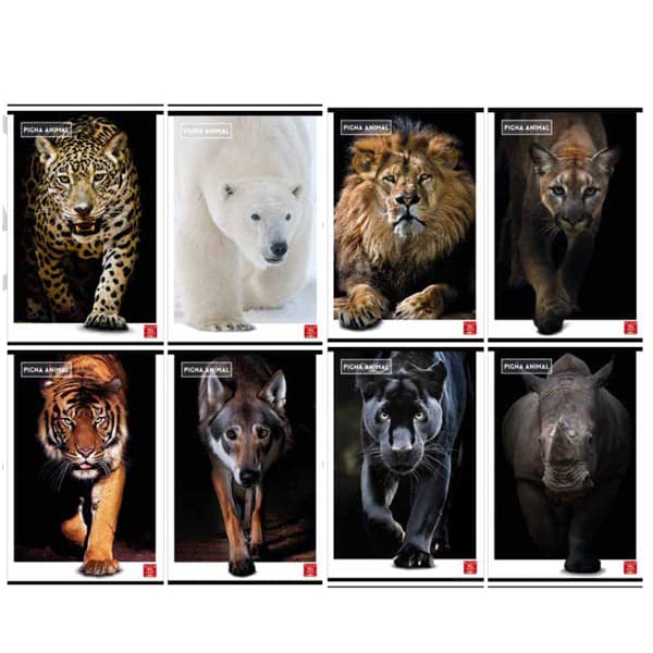 Maxiquaderno A4 80gr 40+2fg 4mm Animal Pigna