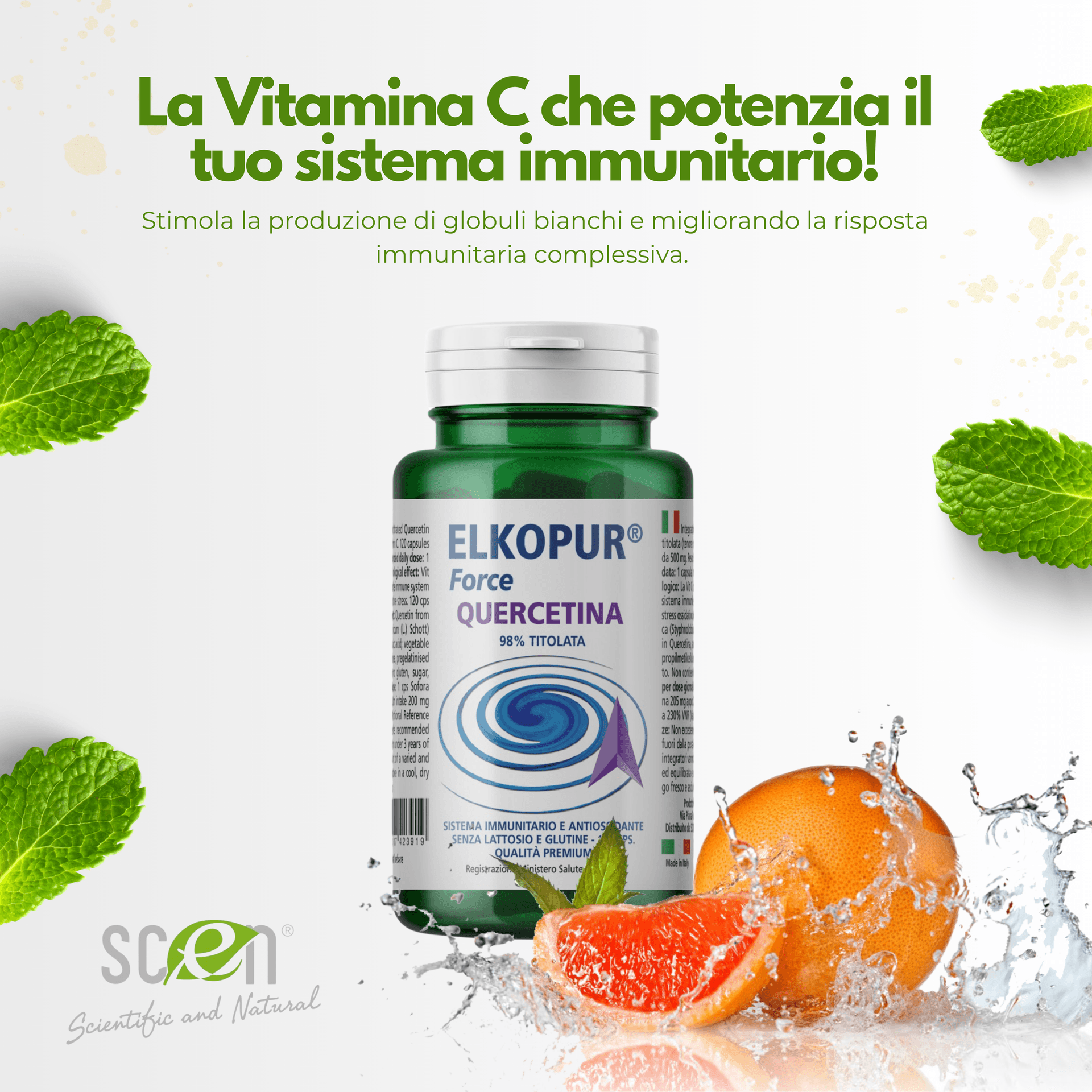 Elkopur Force Quercetina pura, 120 capsule da 500 mg. con 200 mg. di Quercetina titolata 98% in Quercetina, Vegetarian e Vegan ok, Rinforza il sistema immunitario, Antiossidante, prodotto in Italia in Quercetina Scen Scientific and Natural - Poggibonsi, commercioVirtuoso.it