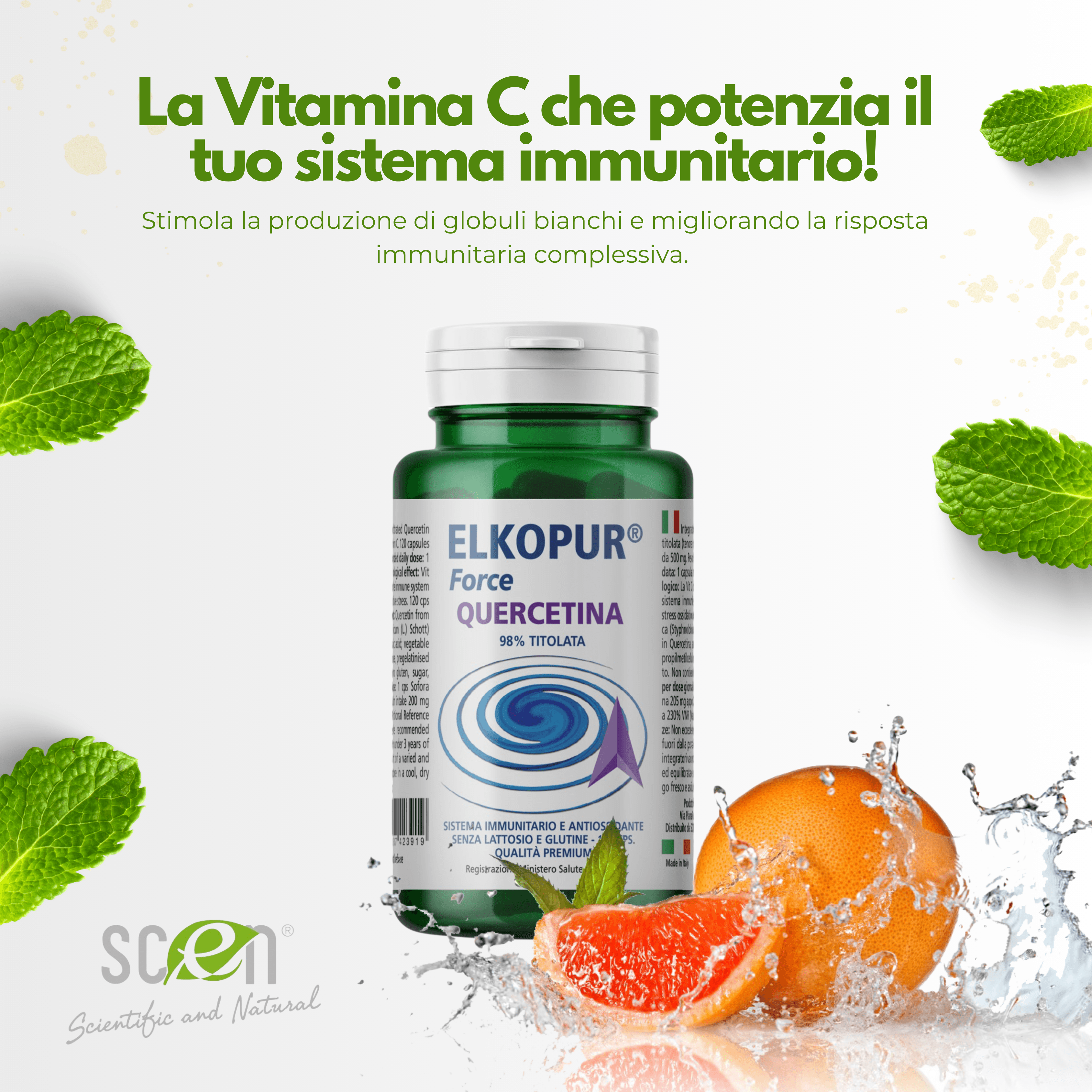 Elkopur Force Quercetina pura, 120 capsule da 500 mg. con 200 mg. di Quercetina titolata 98% in Quercetina, Vegetarian e Vegan ok, Rinforza il sistema immunitario, Antiossidante, prodotto in Italia in Quercetina Scen Scientific and Natural - Poggibonsi, commercioVirtuoso.it