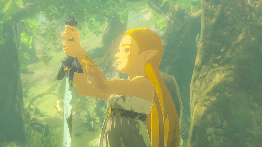 The Legend of Zelda Breath of the Wild Switch 2 Edition UK in Equalizzatori grafici Prezzo Bomba Store - Casalnuovo di Napoli, commercioVirtuoso.it