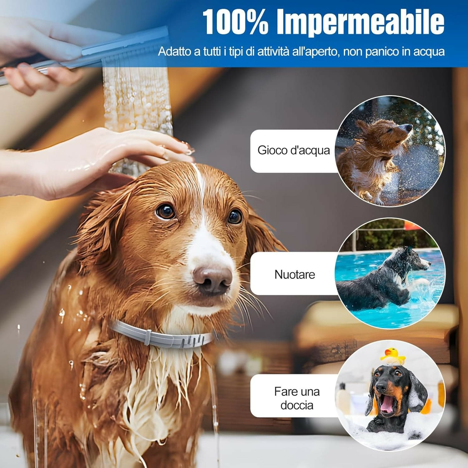 Offerta 2x Collare Seresto Bayer Cani Piccoli <8kg Antiparassitario Pulci Zecche Buste Sigillate (No Latta) in Pendenti per collare Solgeny - Besate, commercioVirtuoso.it