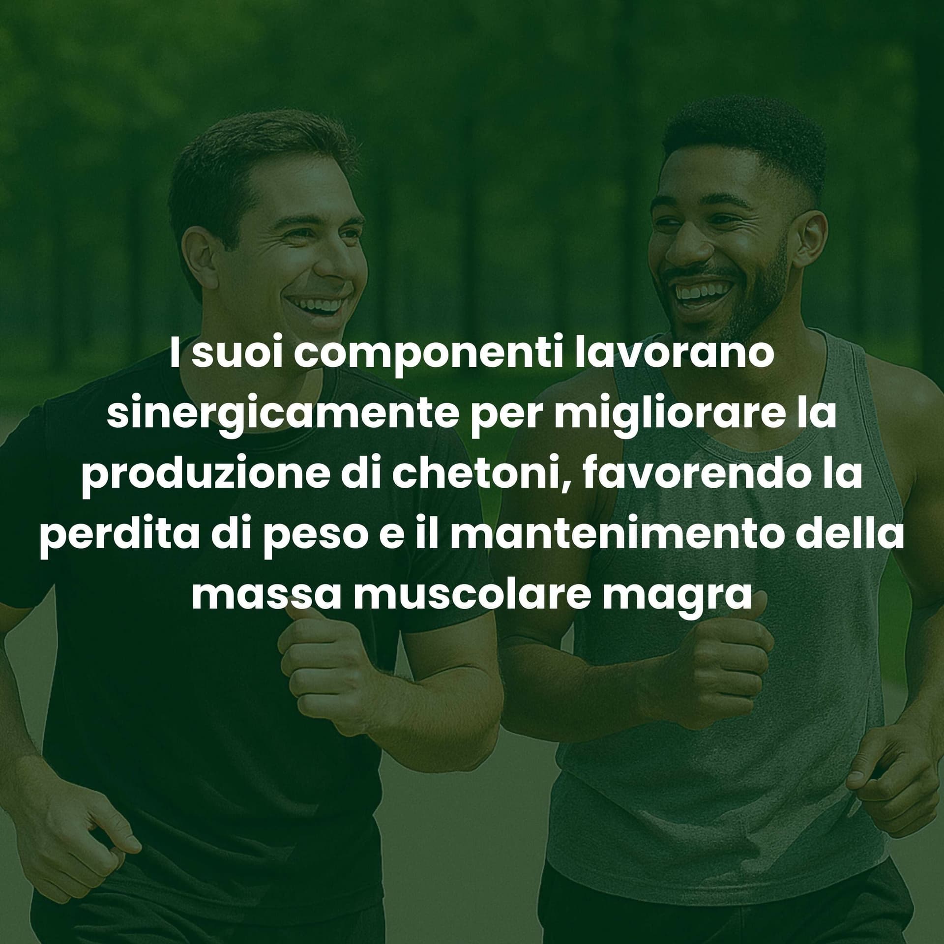 Keto Supreme - Integratore Naturale Dimagrante con Griffonia, Mate e Fieno Greco | Brucia Grassi e Controllo dell'Appetito | 30 Compresse in Bruciatori di grasso BasketGuru Italia - Palermo, commercioVirtuoso.it