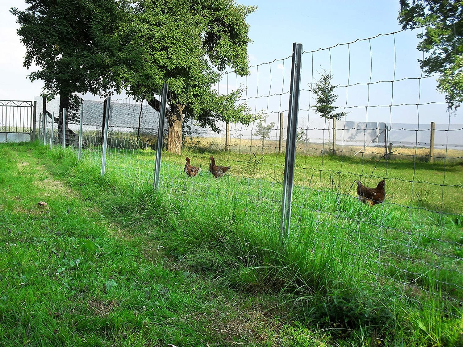 Rete pastorale da 50 mt per allevamenti di pecore in zone boschive, protezione da animali selvatici maglia 12x15 mm in Reti protettive La Zappa - Altamura, commercioVirtuoso.it