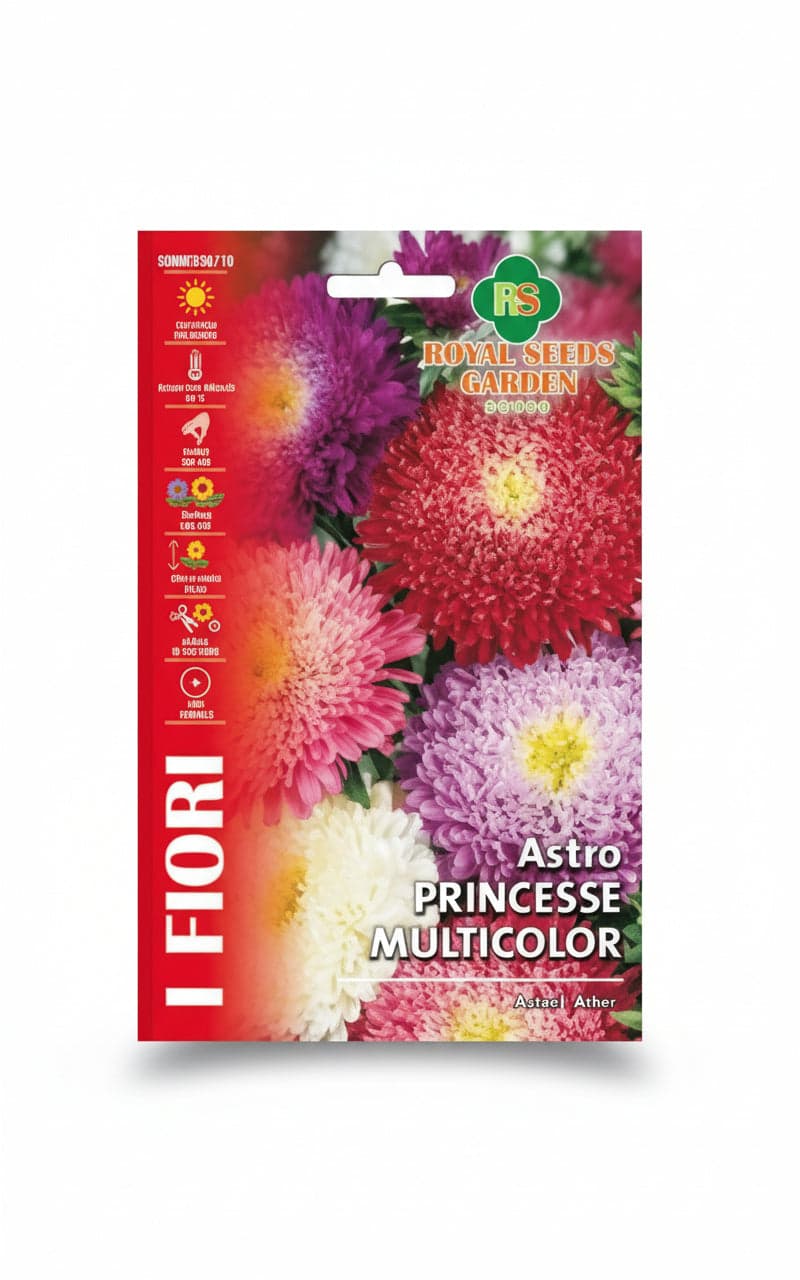 Astro Princesse Multicolor Semi Royal Seeds