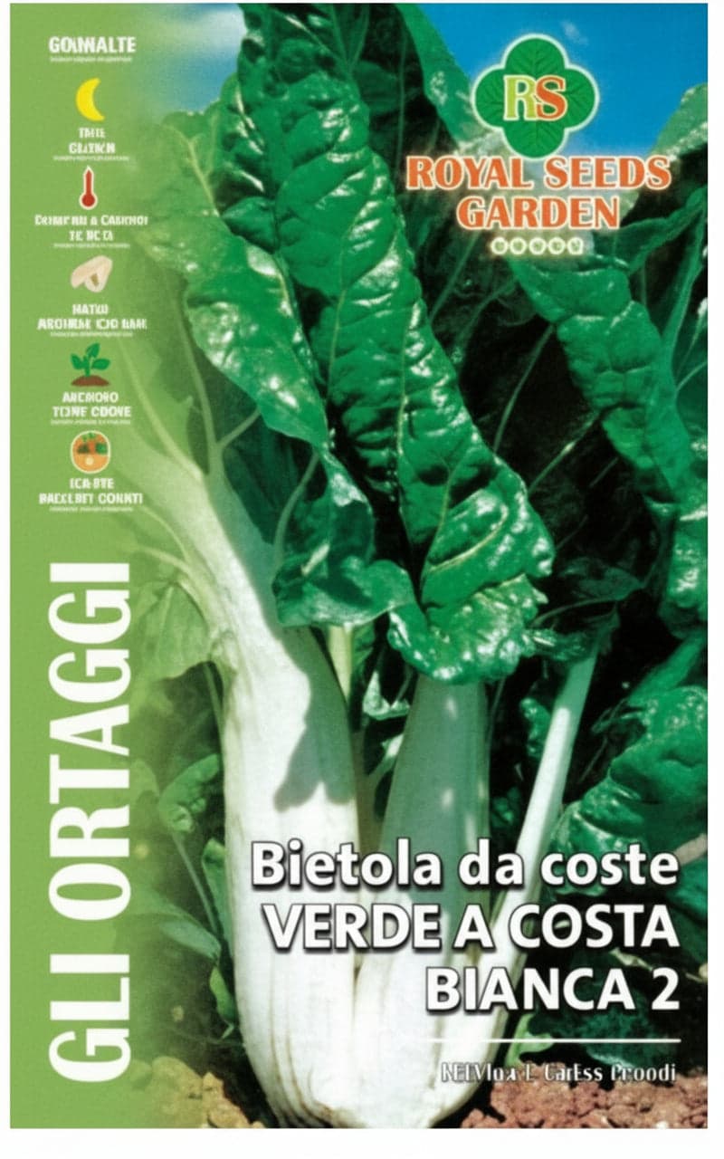 Bietola Da Coste Verde A Costa Bianca 2 Semi Royal Seeds